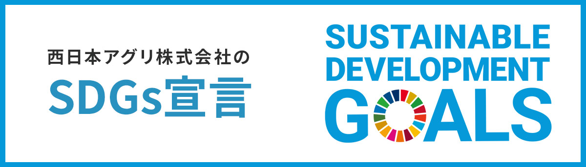 sdgs宣言